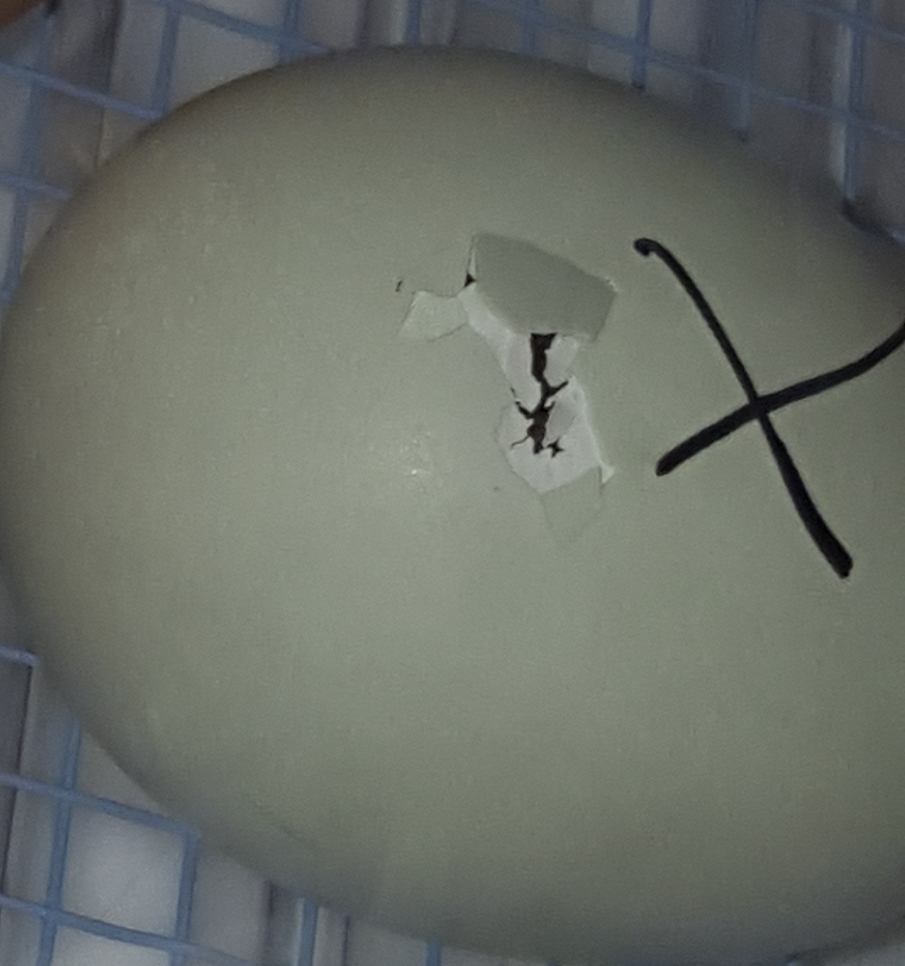 egg with a crack and x marked on it