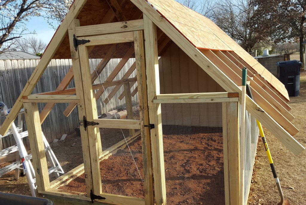constructing chicken coop