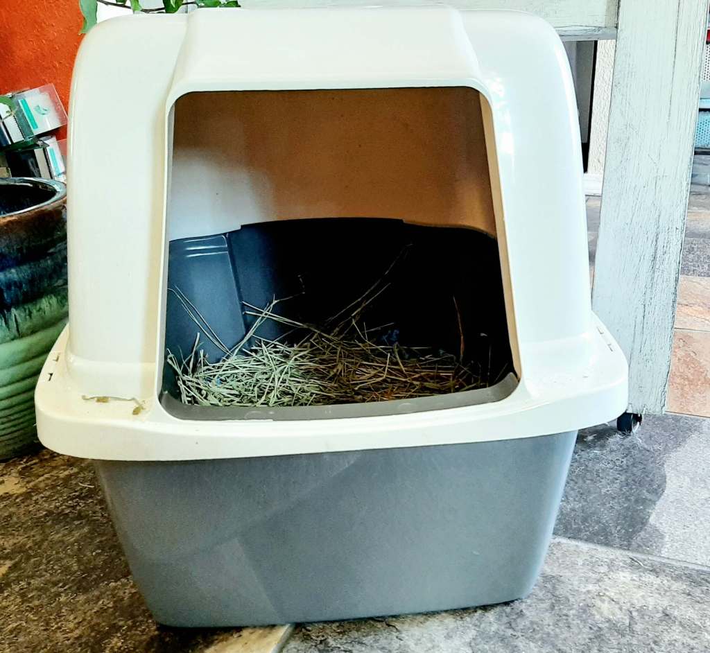 pet bunny litter box