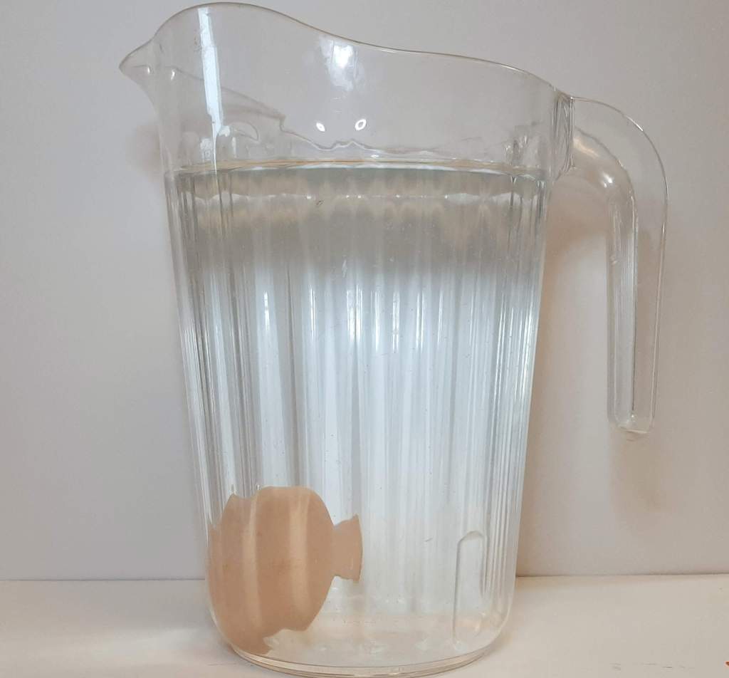 sunken chicken egg in pitcher of water