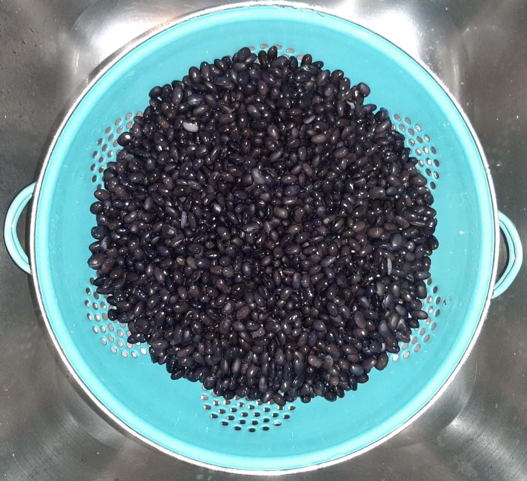 black beans in a blue strainer