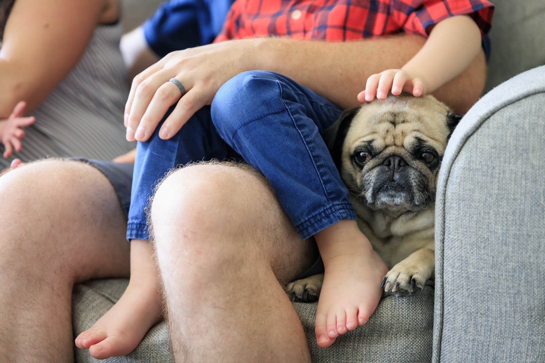 a family sitting on the couch with their pet pug