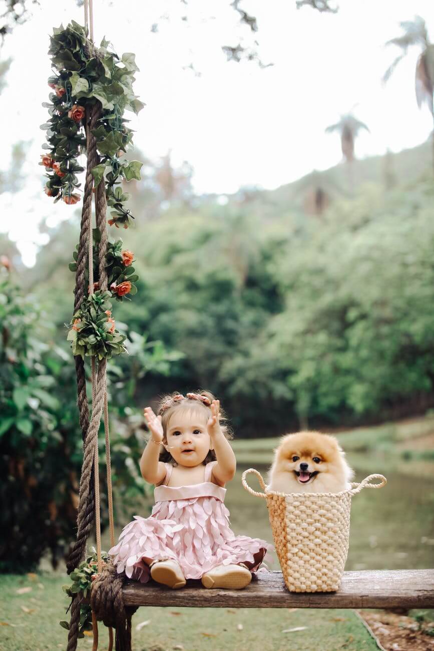 girl in pink dress sitting on bench next to pomeranian dog in bag