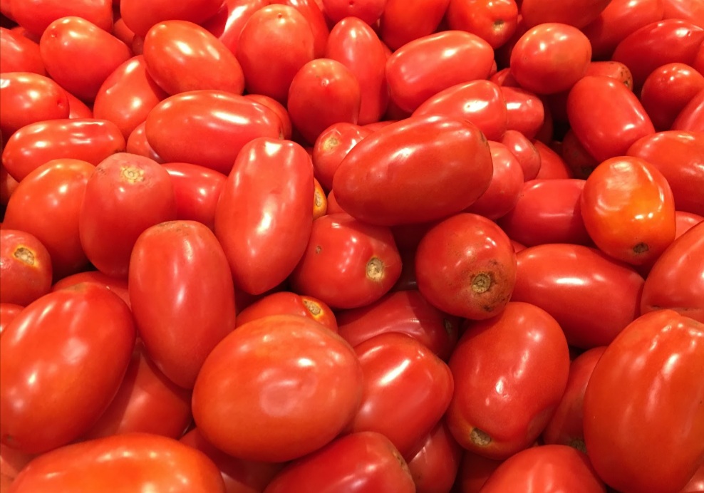 feed your chickens tomatoes in moderation to keep them healthy