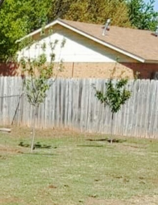 Gala and Granny Smith apple trees