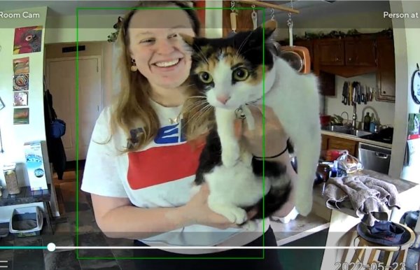 person in t-shirt holding calico cat up to a camera