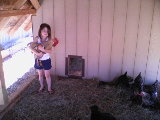 Girl holding rooster
