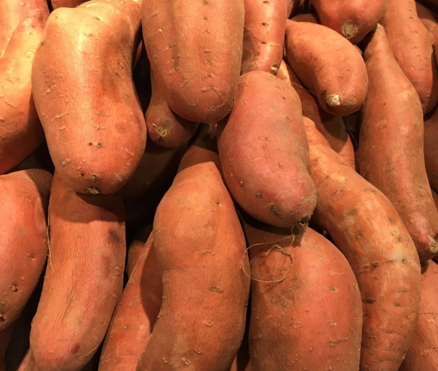 feed your chickens sweet potatoes in moderation to keep them healthy