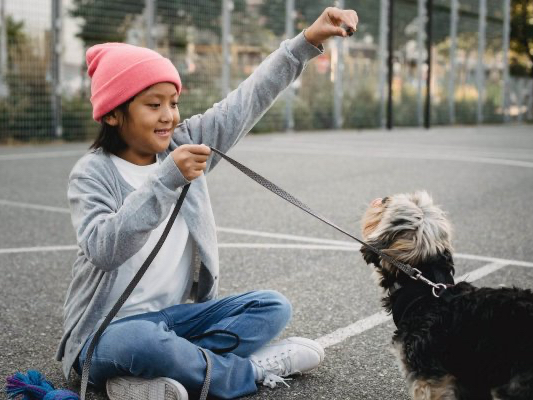 smiling asian boy training purebred dog on sports ground