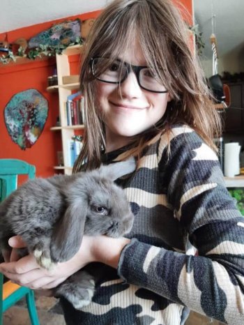 Little girl holding gray dwarf lop eared bunny in a house
