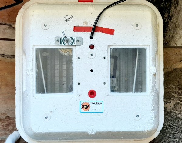 old Hovabator incubator for chickens