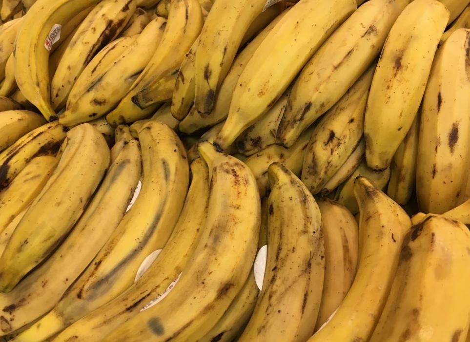 feed your chickens bananas in moderation to keep them healthy