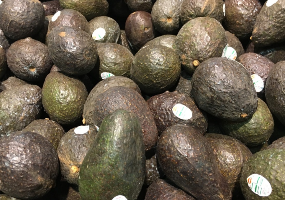 don't feed your chickens avocados to keep them healthy