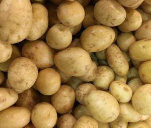 don't give your chickens to keep them healthy