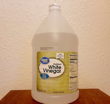 gallon bottle of vinegar for cleaning chicken coop