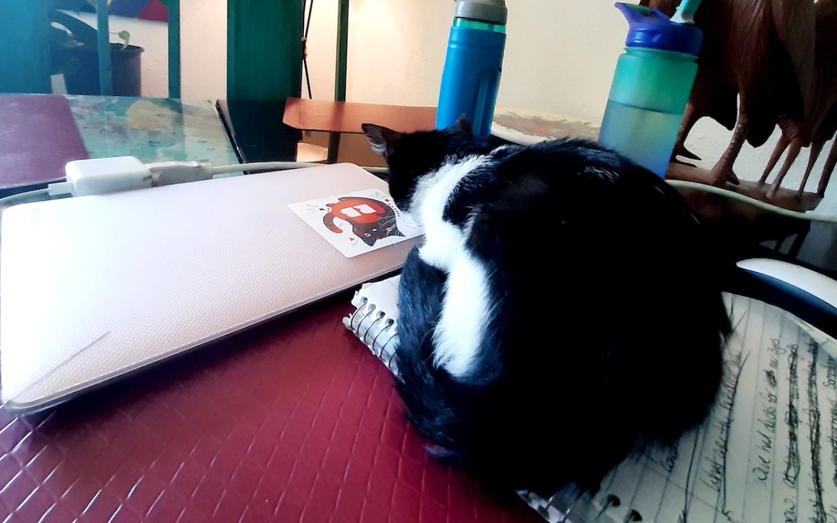 black and white tuxedo cat sitting on a spiral notebook in front of a pink laptop on a table