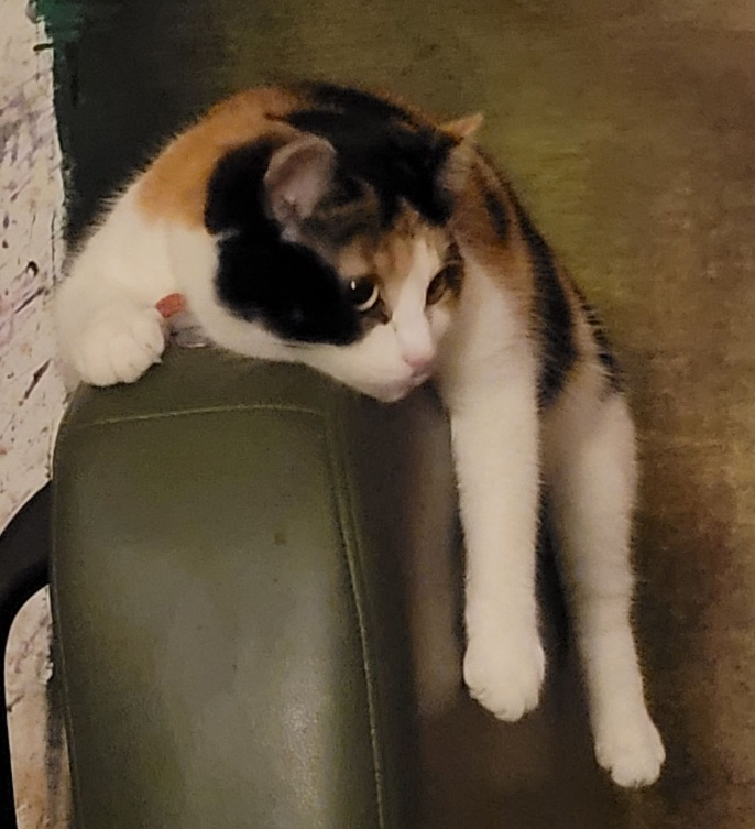 calico cat lying on top of a green pleather chair with legs hanging over the edge
